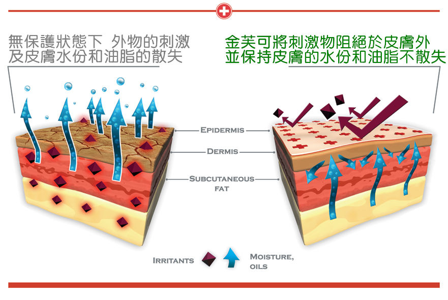 Skin MD 防護保濕